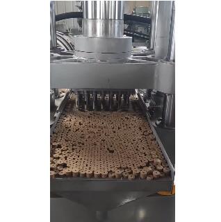 魚(yú)飼料成型機(jī)