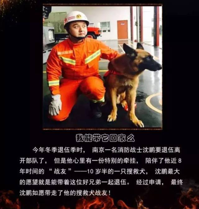 浴火重生的逆行者，肌肉越大責(zé)任越大，這才是真漢子——中國消防員(圖23)