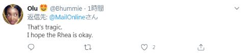 剛確診新冠一星期，巴西總統(tǒng)喂鴕鳥時(shí)又被咬了，網(wǎng)友卻希望“鳥沒事”(圖5)
