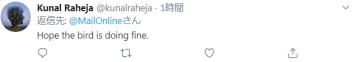 剛確診新冠一星期，巴西總統(tǒng)喂鴕鳥時(shí)又被咬了，網(wǎng)友卻希望“鳥沒事”(圖4)