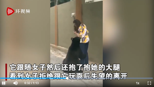 屢犯不改？墨西哥一只曾嗅女游客的黑熊又抱女子大腿 游客鎮定自拍
