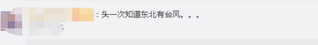 臺風“美莎克”致吉林玉米大面積倒伏，像棉被一樣鋪在地上，減產已成定局(圖2)
